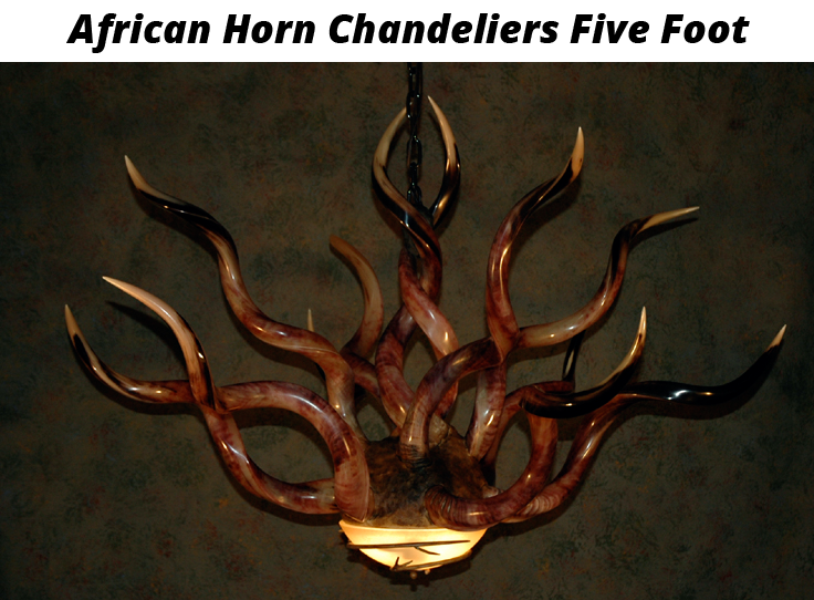 rustic-kudu-horn-chandeliers-4