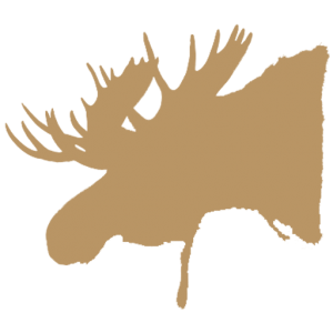 moose-antler-chandelier
